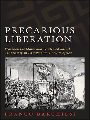 cover image of Precarious Liberation